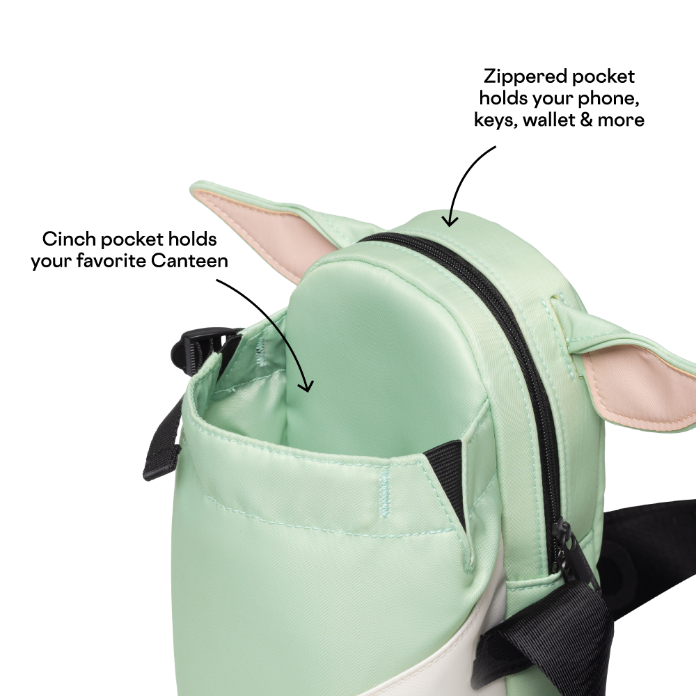 disney-sling-z9 53593b3e49e2--Sling-PDP-4.png