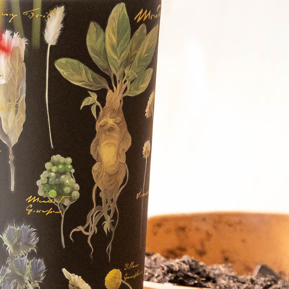 harry-potter-cold-cup-y9 Herbology-3.jpg