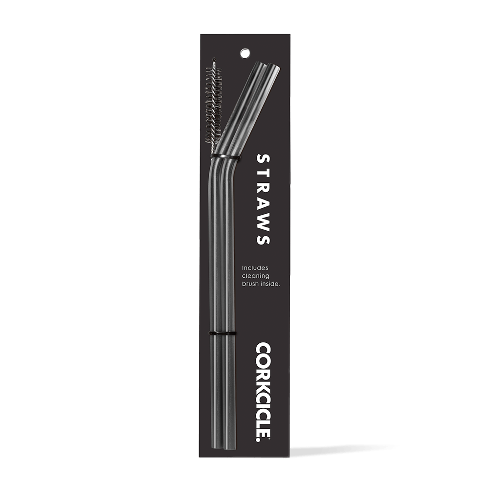 tumbler-straw-2-pack-o4 gunmetal.png